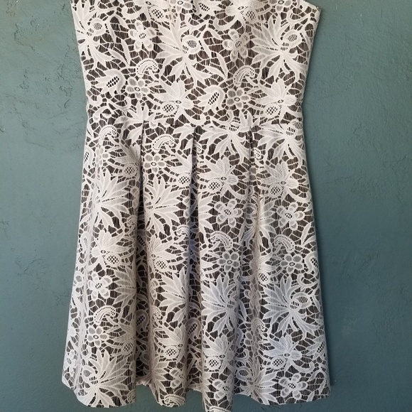 Tiana B. Fit and Flair Lace Dress - Picture 4 of 7